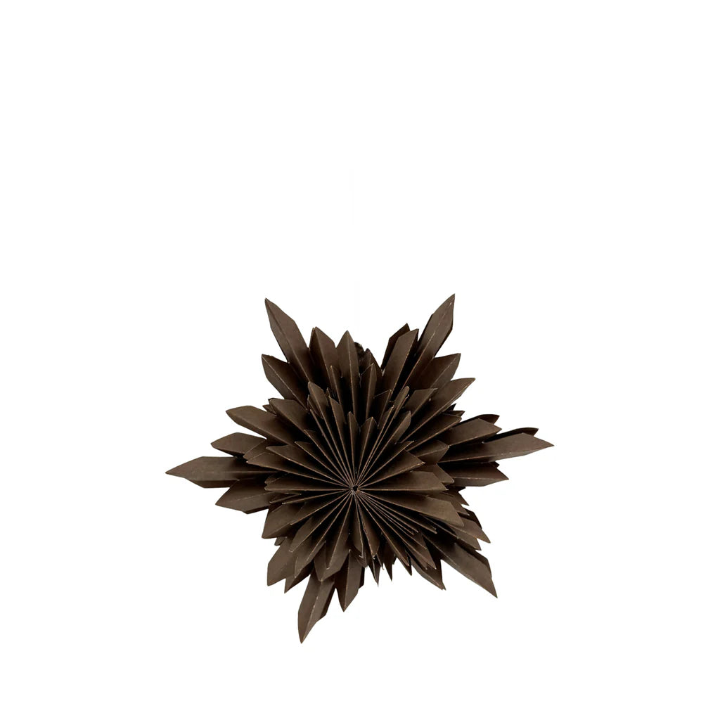 Astra Papierstern D15